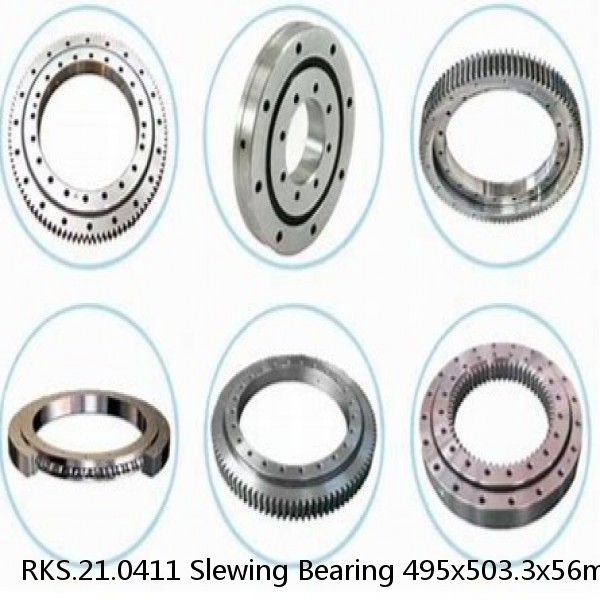RKS.21.0411 Slewing Bearing 495x503.3x56mm