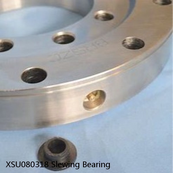 XSU080318 Slewing Bearing