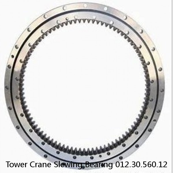 Tower Crane Slewing Bearing 012.30.560.12 #1 small image
