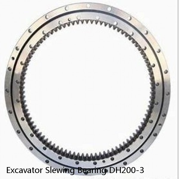 Excavator Slewing Bearing DH200-3 #1 small image