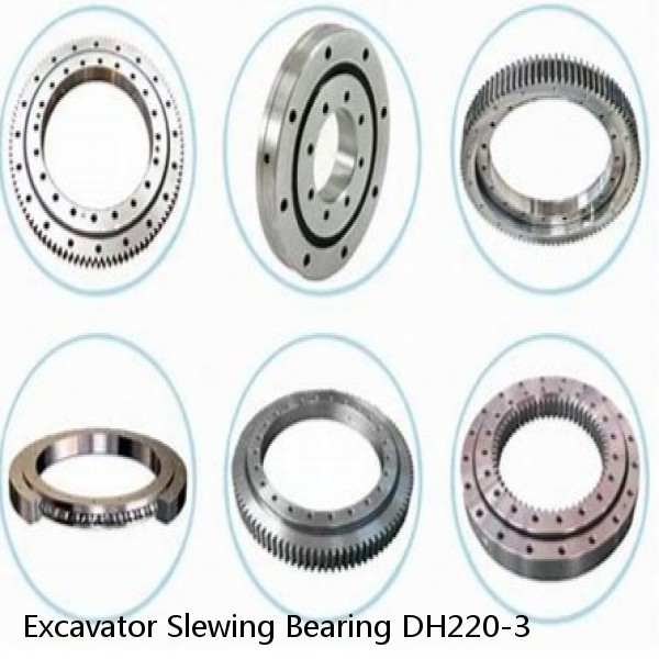 Excavator Slewing Bearing DH220-3 #1 small image