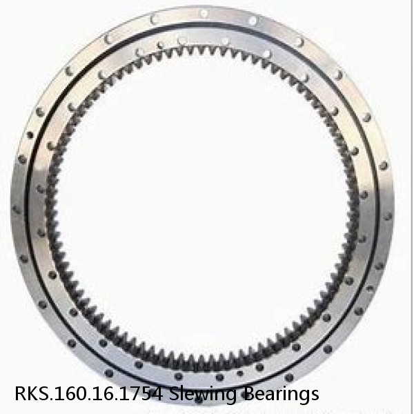 RKS.160.16.1754 Slewing Bearings #1 small image