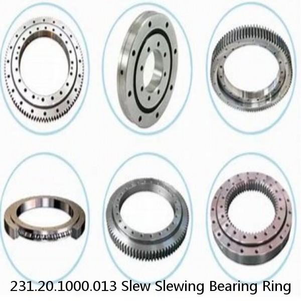 231.20.1000.013 Slew Slewing Bearing Ring #1 small image