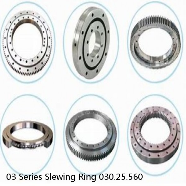 03 Series Slewing Ring 030.25.560 #1 small image