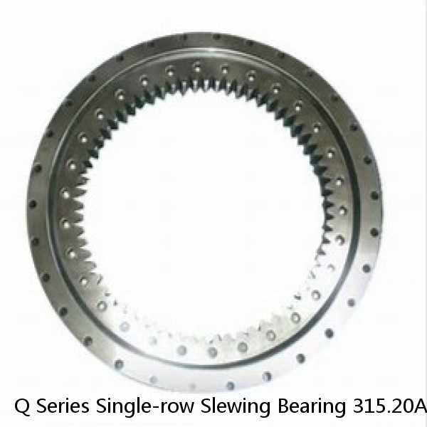 Q Series Single-row Slewing Bearing 315.20A #1 small image