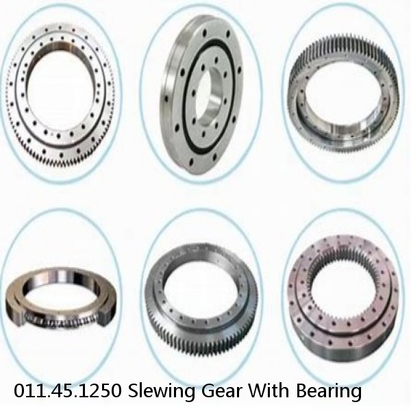 011.45.1250 Slewing Gear With Bearing #1 small image