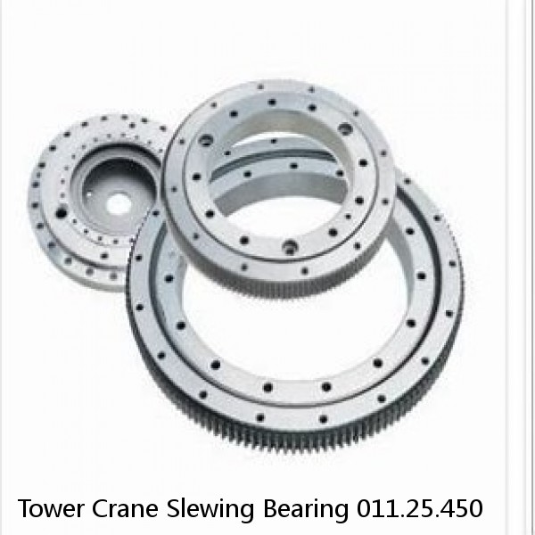Tower Crane Slewing Bearing 011.25.450 #1 small image
