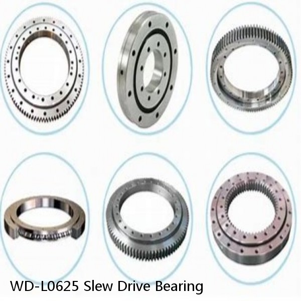 WD-L0625 Slew Drive Bearing #1 small image