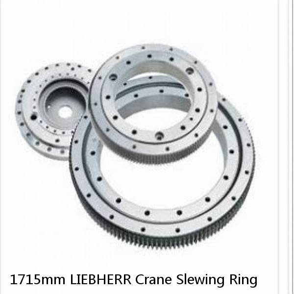 1715mm LIEBHERR Crane Slewing Ring #1 small image
