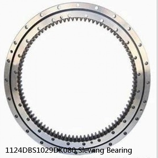 1124DBS1029DK080 Slewing Bearing