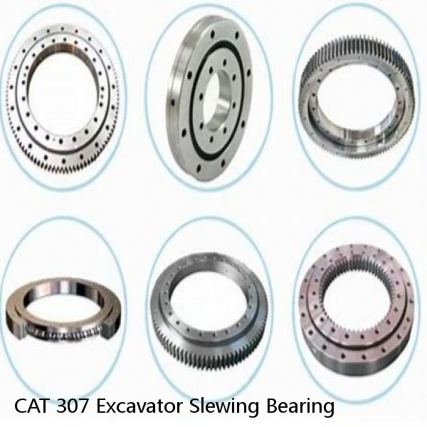 CAT 307 Excavator Slewing Bearing #1 small image