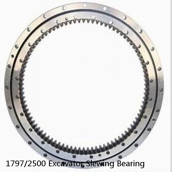 1797/2500 Excavator Slewing Bearing #1 small image