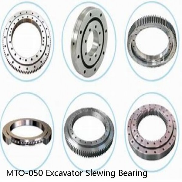 MTO-050 Excavator Slewing Bearing #1 small image