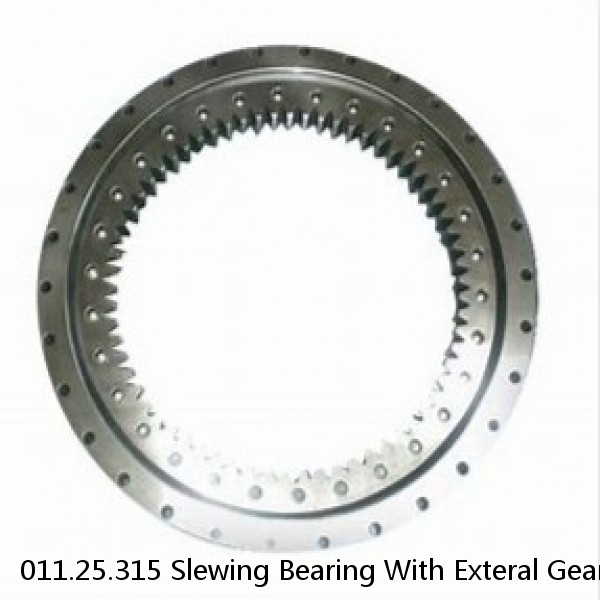 011.25.315 Slewing Bearing With Exteral Gear #1 small image