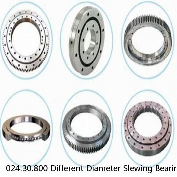 024.30.800 Different Diameter Slewing Bearing #1 small image