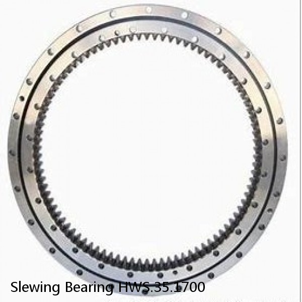 Slewing Bearing HWS.35.1700 #1 small image