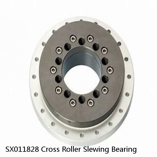SX011828 Cross Roller Slewing Bearing #1 small image