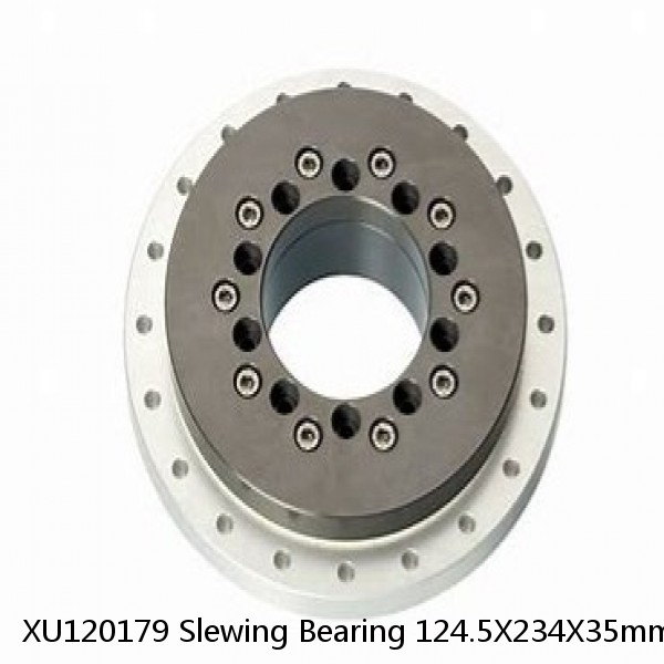 XU120179 Slewing Bearing 124.5X234X35mm #1 small image