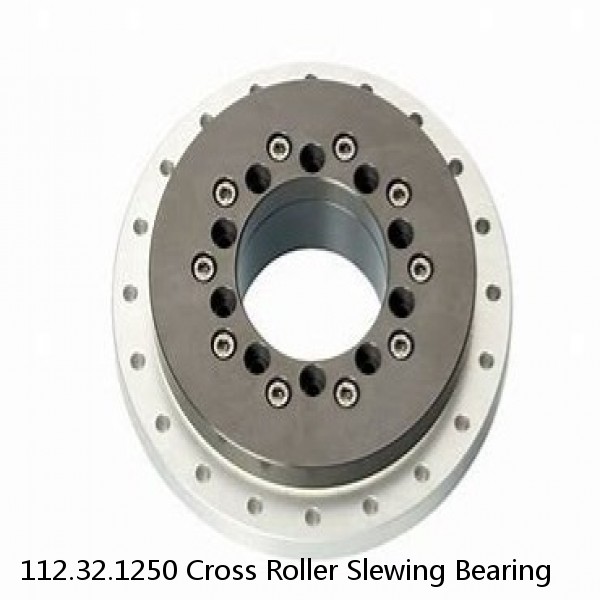 112.32.1250 Cross Roller Slewing Bearing #1 small image