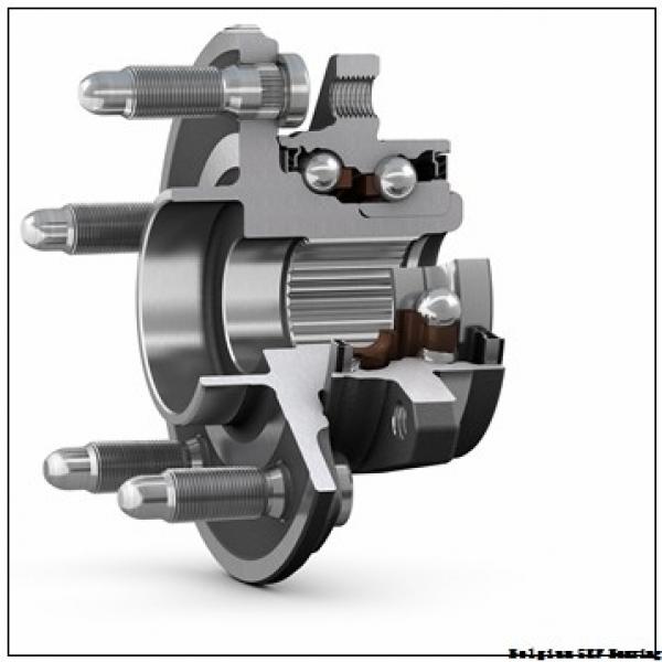 190 mm x 340 mm x 55 mm  SKF NU 238 ECM Belgium Bearing 190x340x55 #3 image