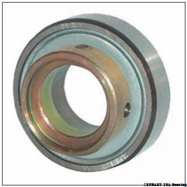 17 mm x 40 mm x 18,3 mm  INA 203-KRR GERMANY Bearing 17*40*18.3 #1 image