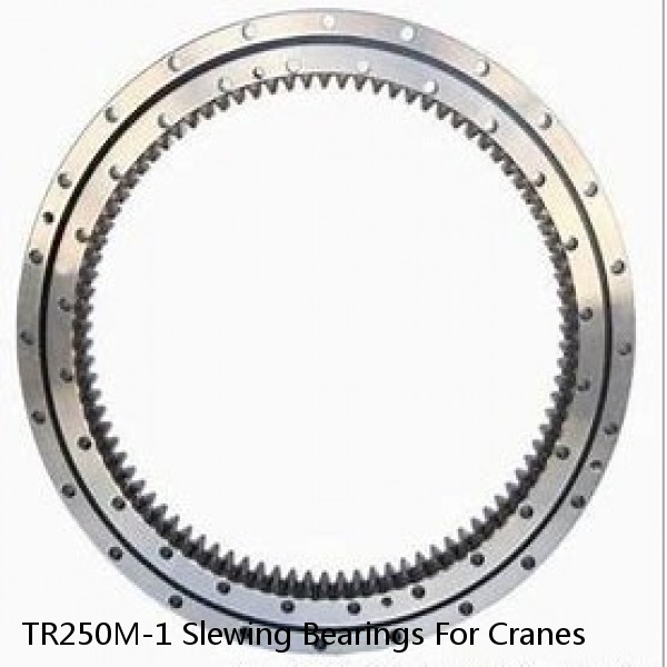 TR250M-1 Slewing Bearings For Cranes #1 image