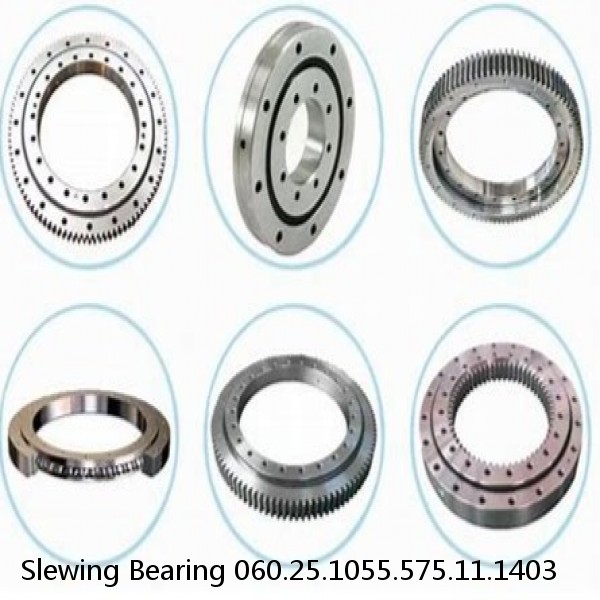Slewing Bearing 060.25.1055.575.11.1403 #1 image
