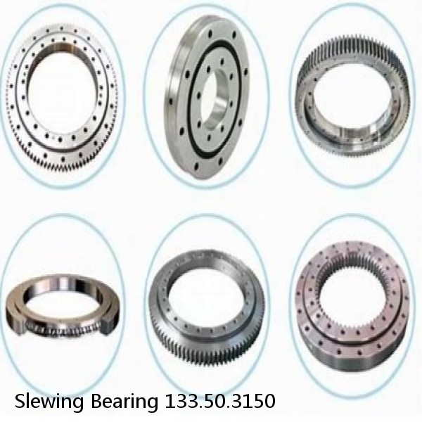 Slewing Bearing 133.50.3150 #1 image