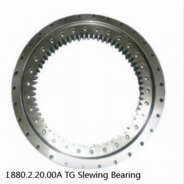 I.880.2.20.00A TG Slewing Bearing #1 image