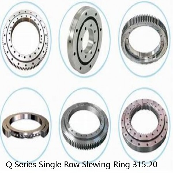 Q Series Single Row Slewing Ring 315.20 #1 image