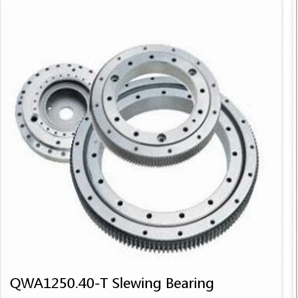 QWA1250.40-T Slewing Bearing #1 image