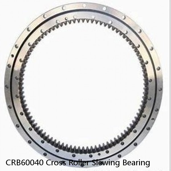 CRB60040 Cross Roller Slewing Bearing #1 image