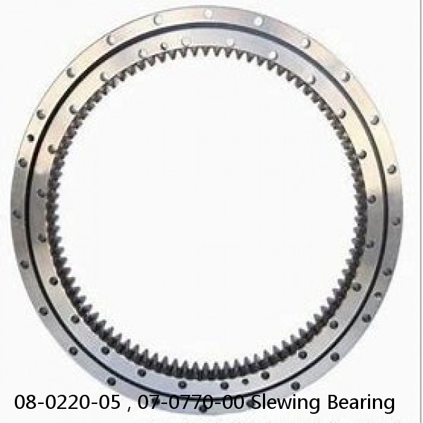 08-0220-05 , 07-0770-00 Slewing Bearing #1 image