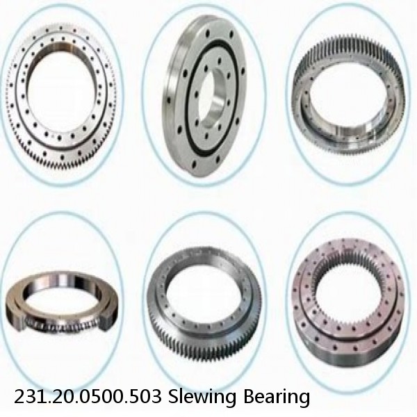 231.20.0500.503 Slewing Bearing #1 image