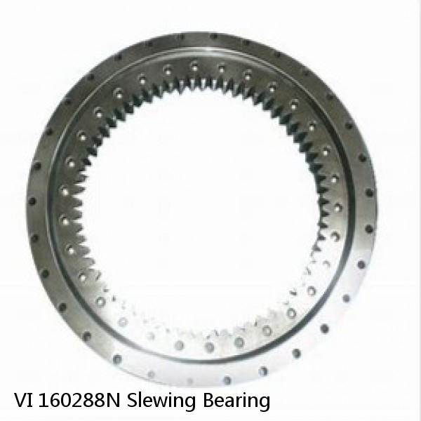 VI 160288N Slewing Bearing #1 image