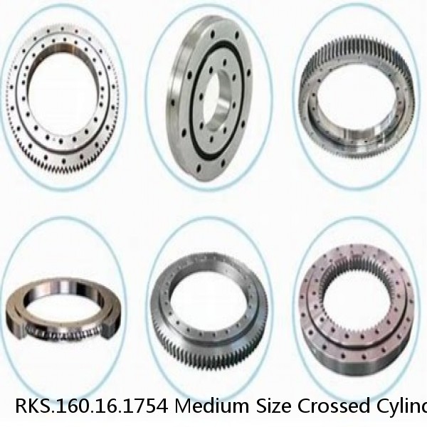 RKS.160.16.1754 Medium Size Crossed Cylindrical Roller Slewing Bearings Without A Gear #1 image