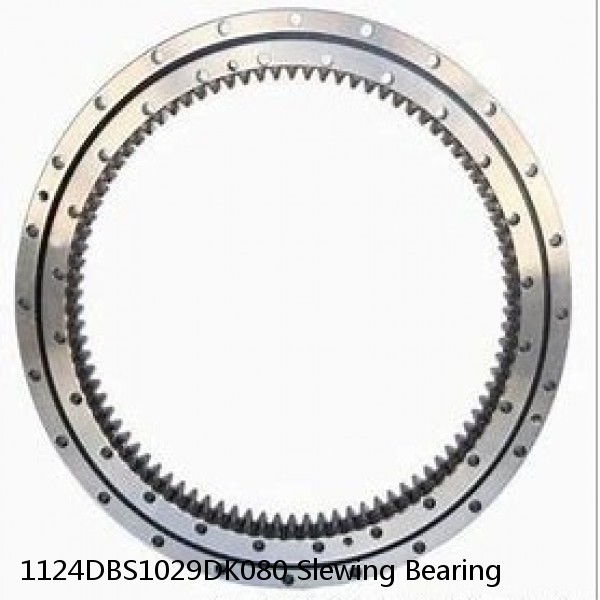 1124DBS1029DK080 Slewing Bearing #1 image