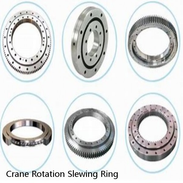 Crane Rotation Slewing Ring #1 image