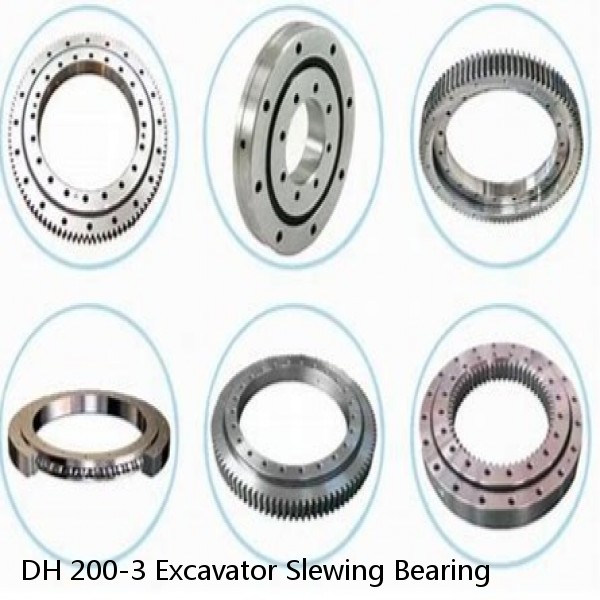 DH 200-3 Excavator Slewing Bearing #1 image