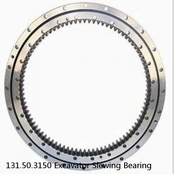 131.50.3150 Excavator Slewing Bearing #1 image