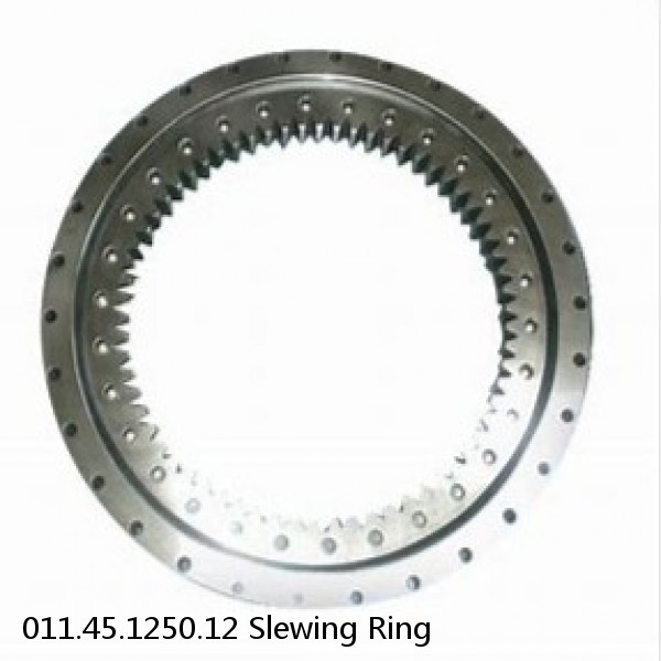 011.45.1250.12 Slewing Ring #1 image