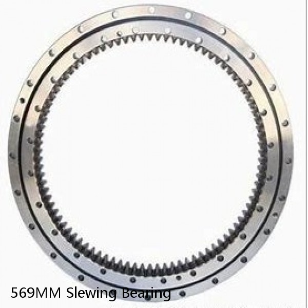 569MM Slewing Bearing #1 image