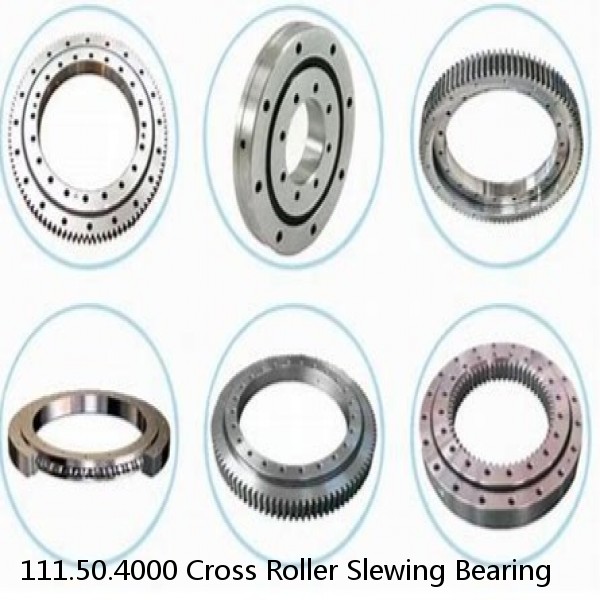 111.50.4000 Cross Roller Slewing Bearing #1 image