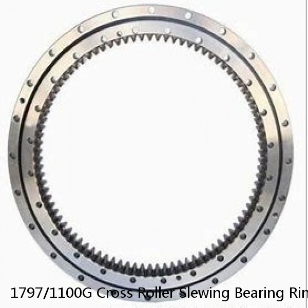 1797/1100G Cross Roller Slewing Bearing Ring #1 image