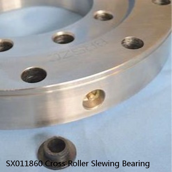 SX011860 Cross Roller Slewing Bearing #1 image