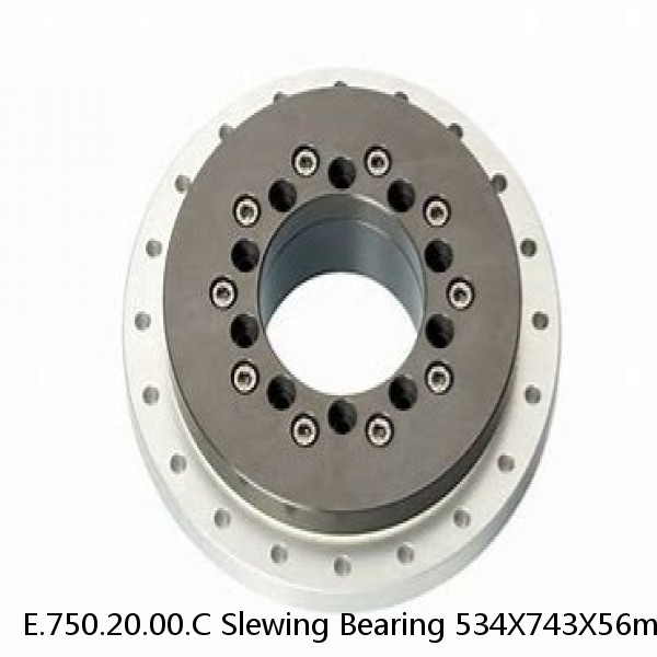 E.750.20.00.C Slewing Bearing 534X743X56mm #1 image