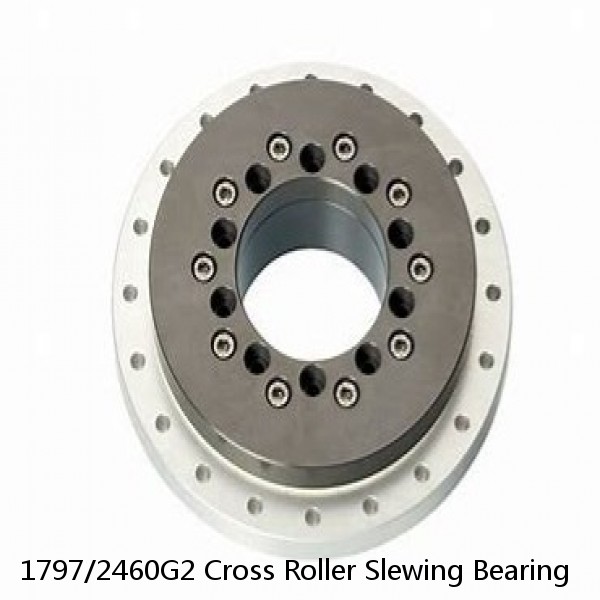 1797/2460G2 Cross Roller Slewing Bearing #1 image