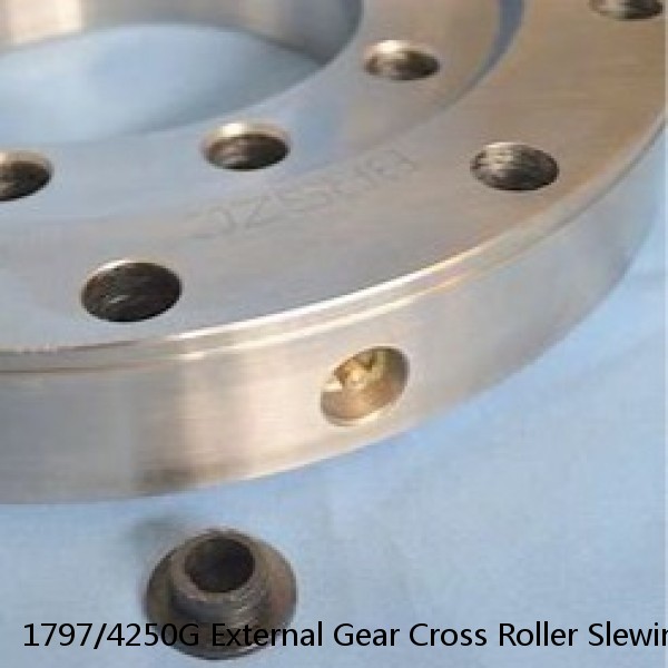 1797/4250G External Gear Cross Roller Slewing Bearing #1 image