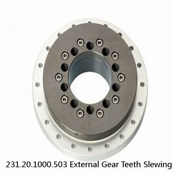 231.20.1000.503 External Gear Teeth Slewing Bearing #1 image