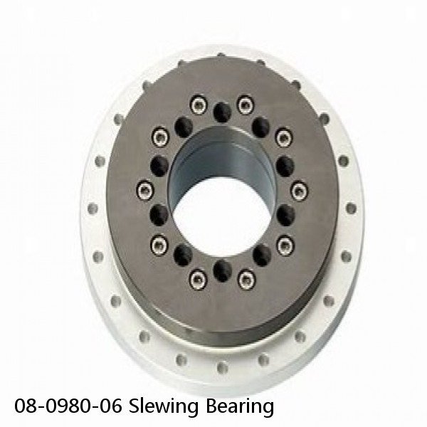 08-0980-06 Slewing Bearing #1 image
